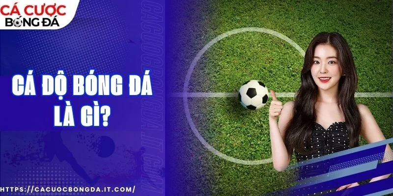 Hội viên cần có chiến lược khi đặt kèo