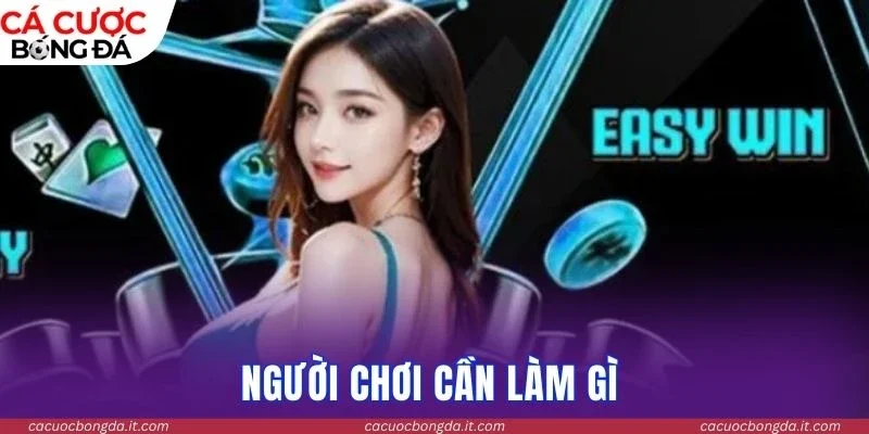 Miễn trừ trách nhiệm yêu cầu người dùng tuân thủ quy định