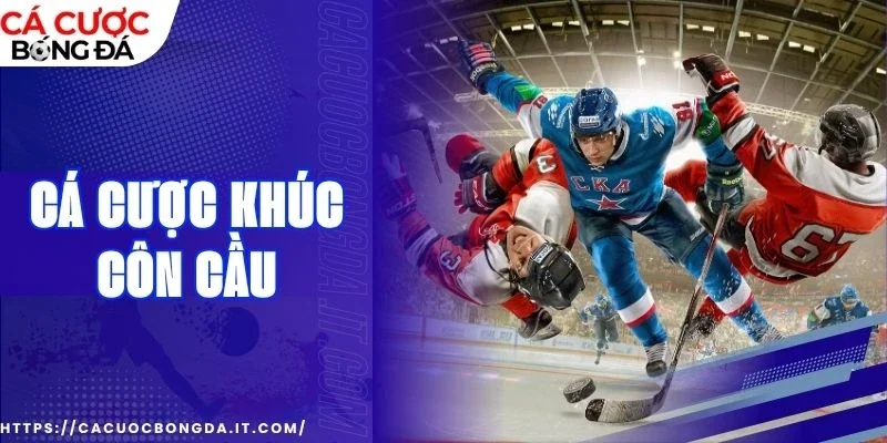 Bảng kèo phong phú, cập nhật nhanh và thưởng nóng