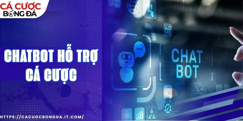 xu hướng cá cược