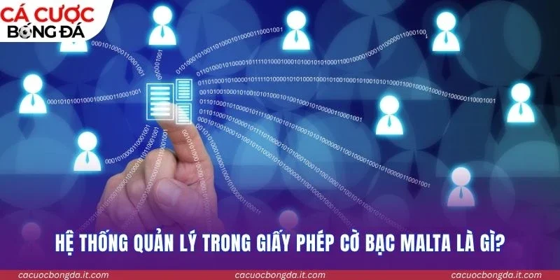 Hệ thống quản lý trong giấy phép cờ bạc Malta là gì?