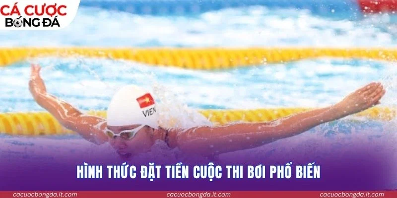 Hình thức đặt tiền cuộc thi bơi phổ biến