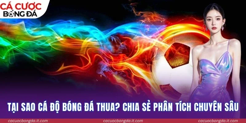 Tại sao cá độ bóng đá thua? Chia sẻ phân tích chuyên sâu