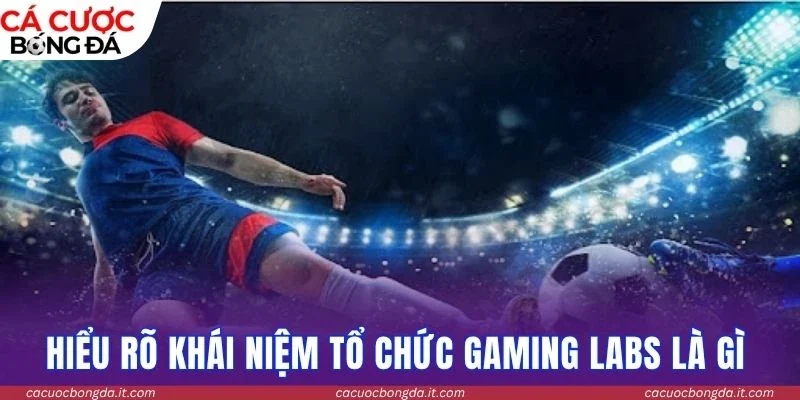 Hiểu rõ khái niệm tổ chức Gaming Labs là gì 